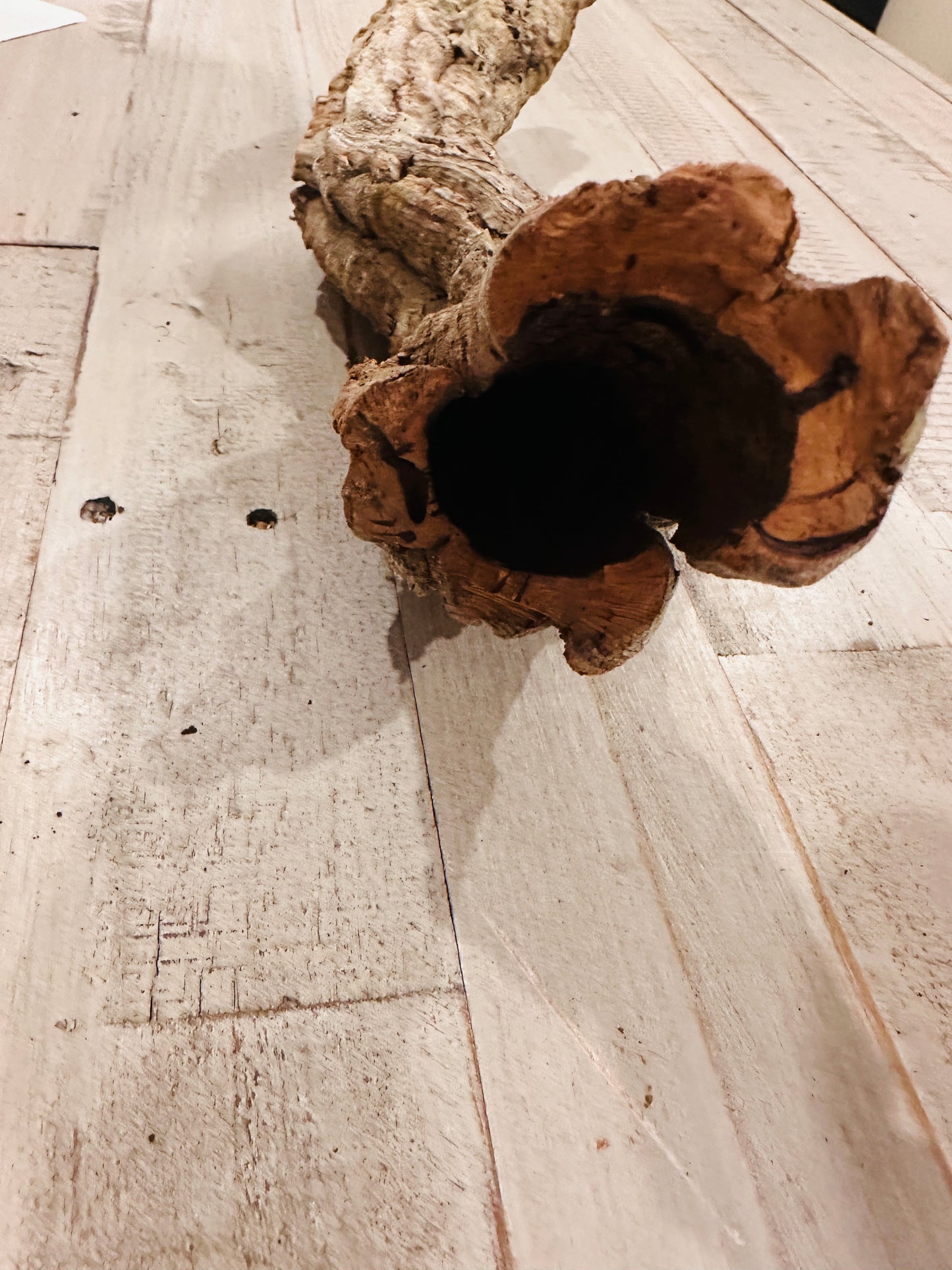 Natural Cork Bark for Parrots and small animals (Read for Sizes)