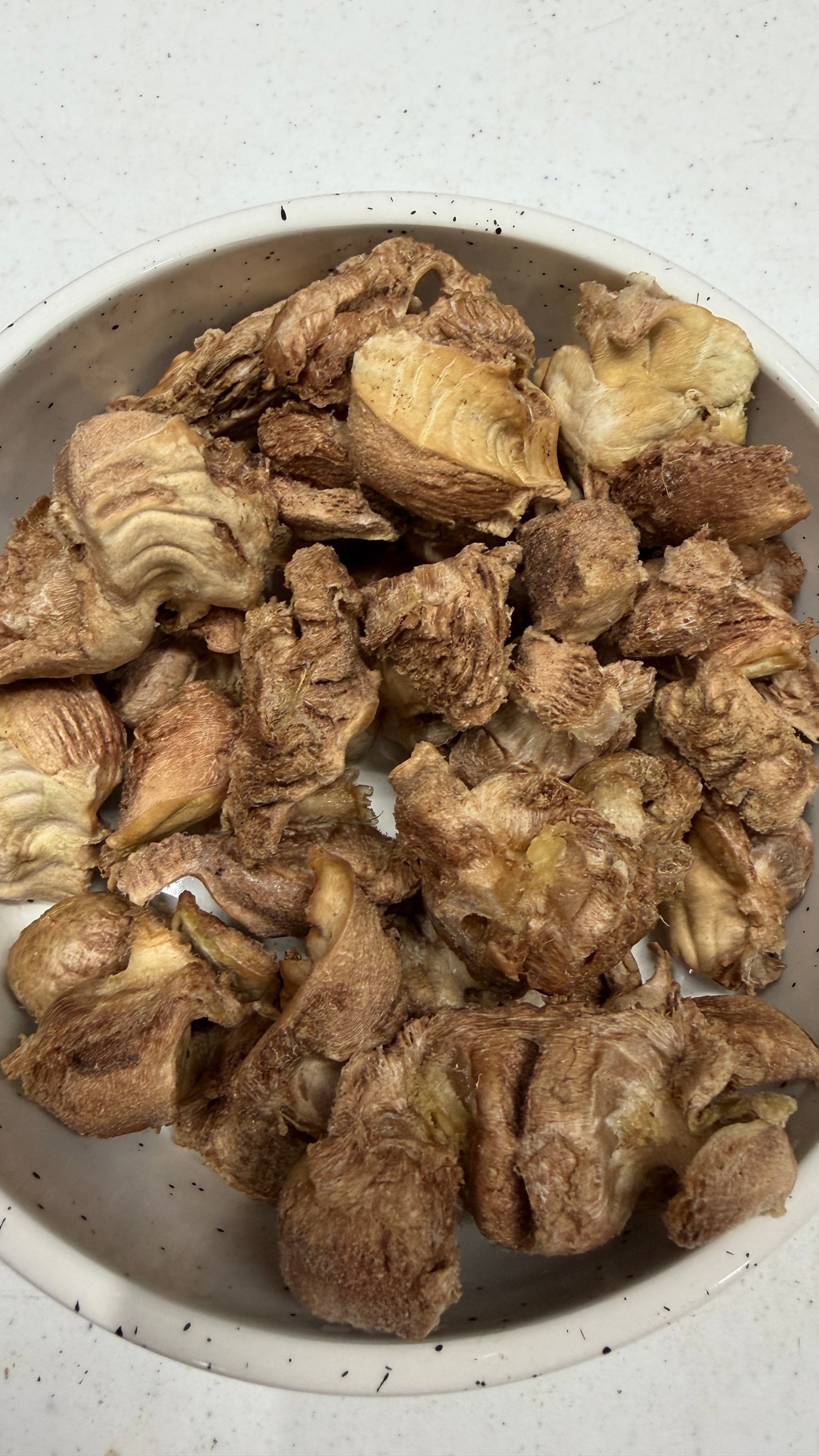 Freeze-Dried Chicken Gizzard Treats for Dogs & Cats
