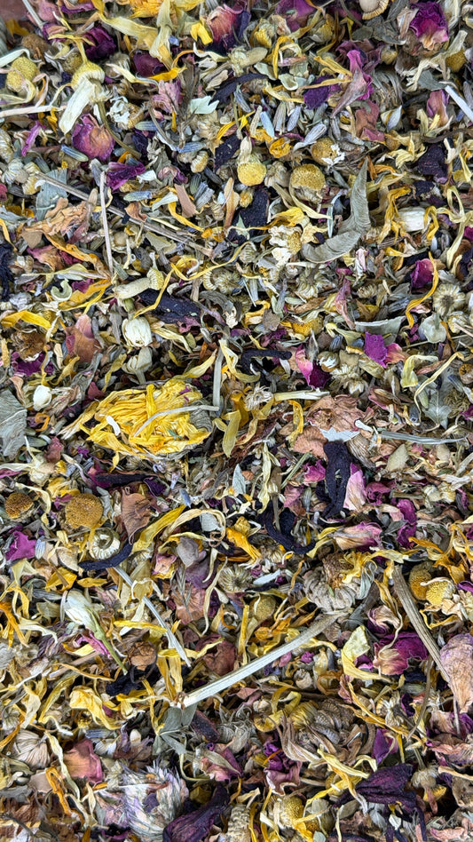 Runzas organic bird food for parrots and small birds