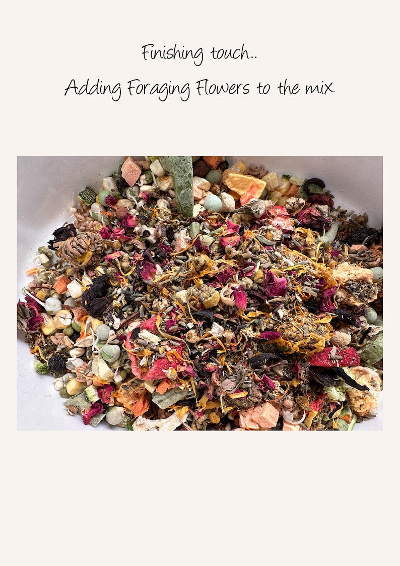 9 Organic Flower Mix Foraging Fun For Birds / Parrots
