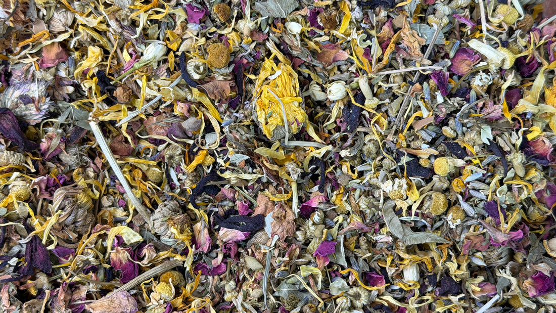 Calming Tea for Birds: A Natural Way to Reduce Stress and Support Relaxation