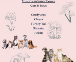 Mushroom Super Power (Powder) for Cats & Dogs