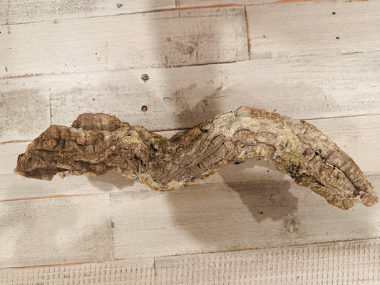Natural Cork Bark for Parrots and small animals (Read for Sizes)