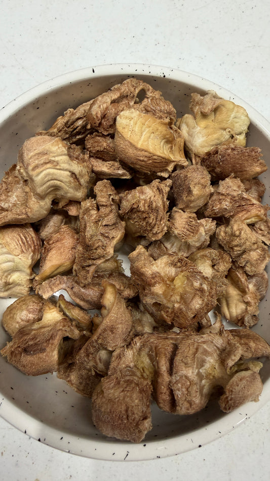 Freeze-Dried Chicken Gizzard Treats for Dogs &amp; Cats