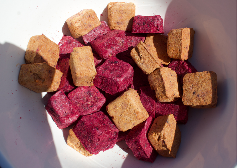 1oz Organic Fruit Cubes: Perfect for Birds and Furry Pets