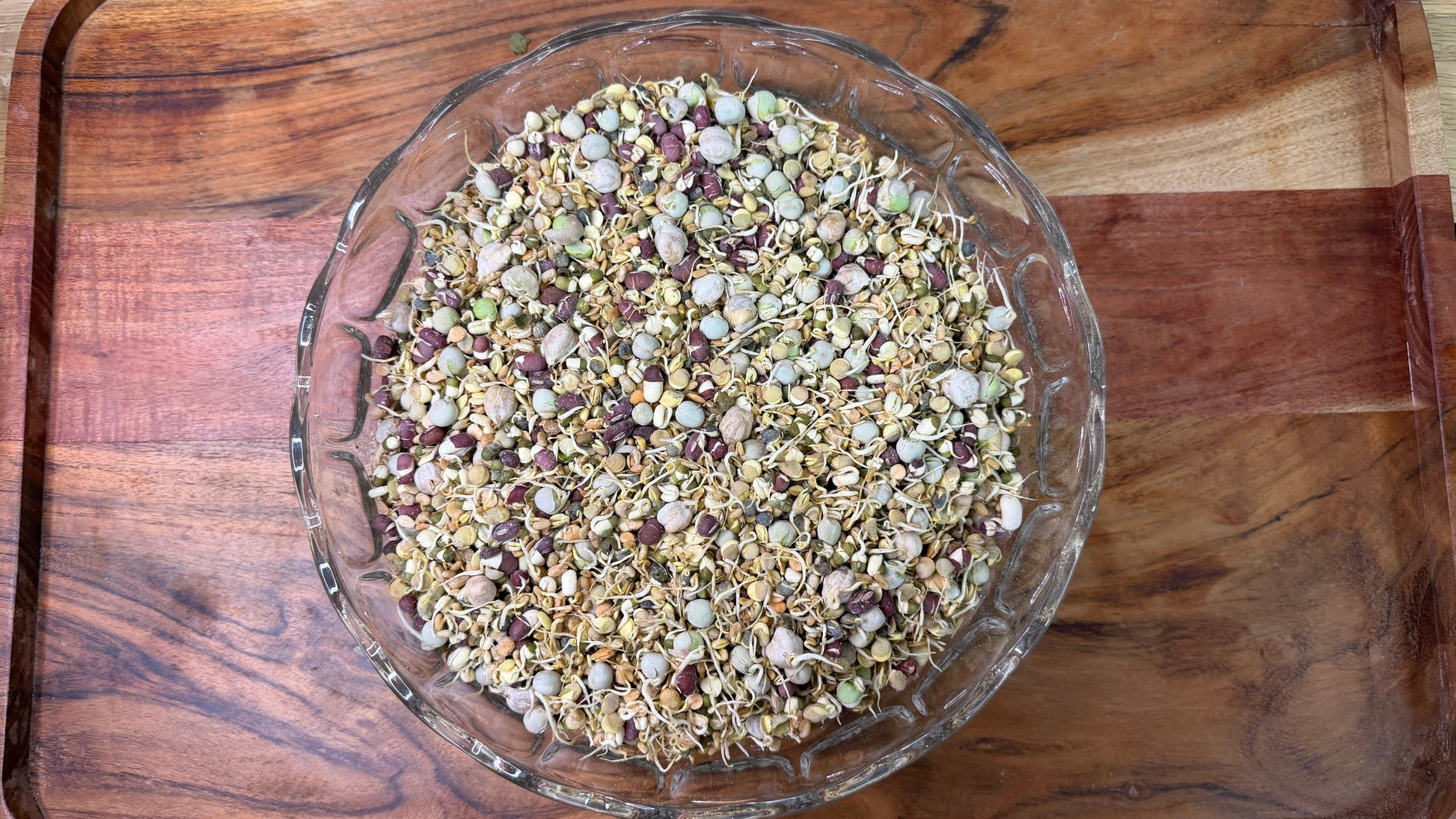 Runzas organic bird food for parrots and small birds