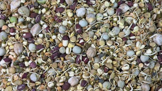 Runzas organic bird food for parrots and small birds