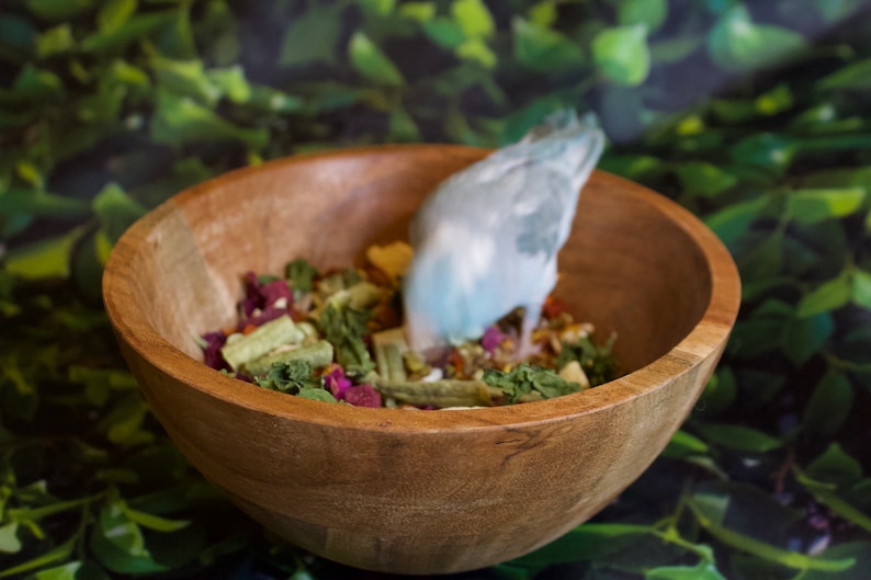 Runzas organic bird food for parrots and small birds