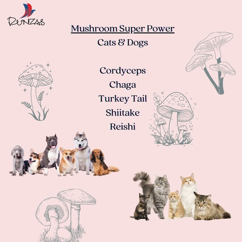 Mushroom Powder for Dogs