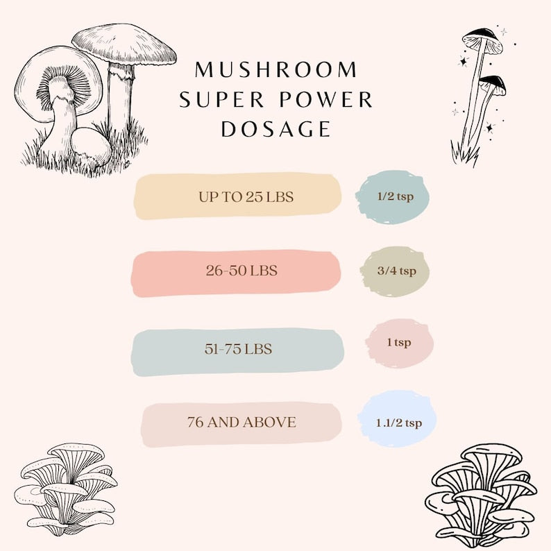 Mushroom Powder for Dogs