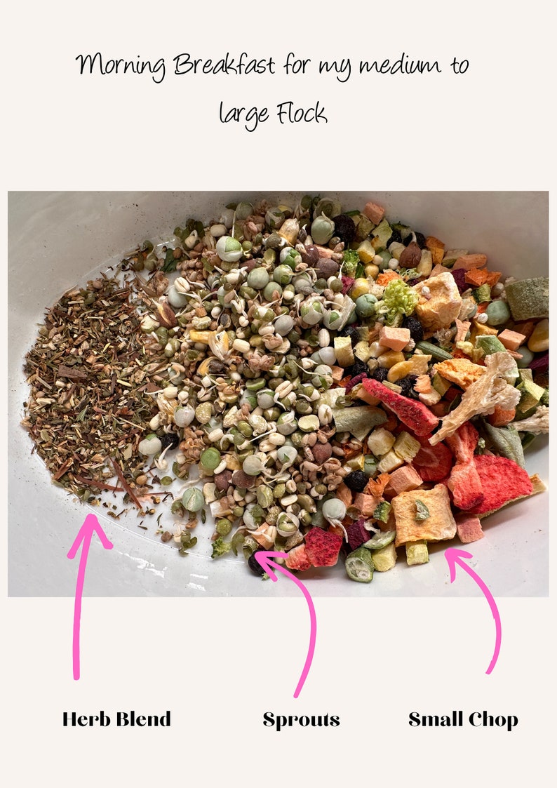 Olivia's Sprouting MIx (to sprout at home)