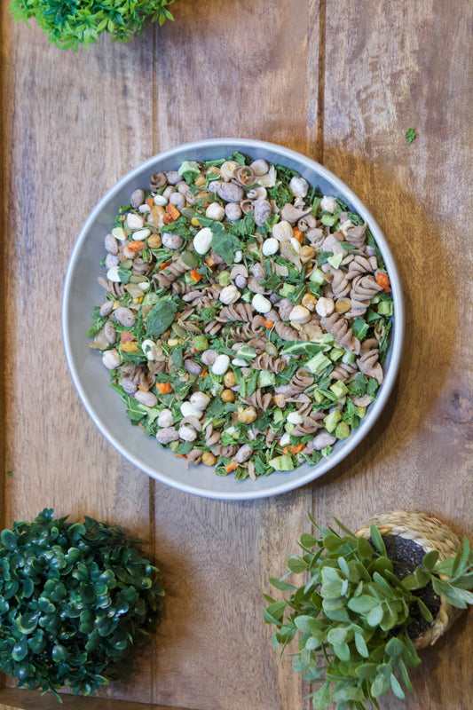 Dinner Bowl: Medium and Large size Parrots. Treats for Birds and Parrots