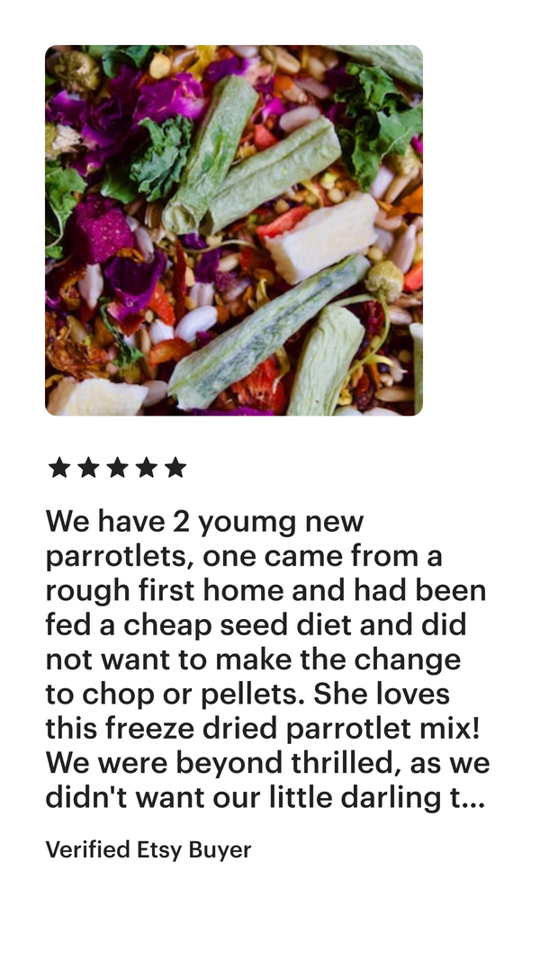 Best Parrotlet Seed Mix (suitable for any small bird)