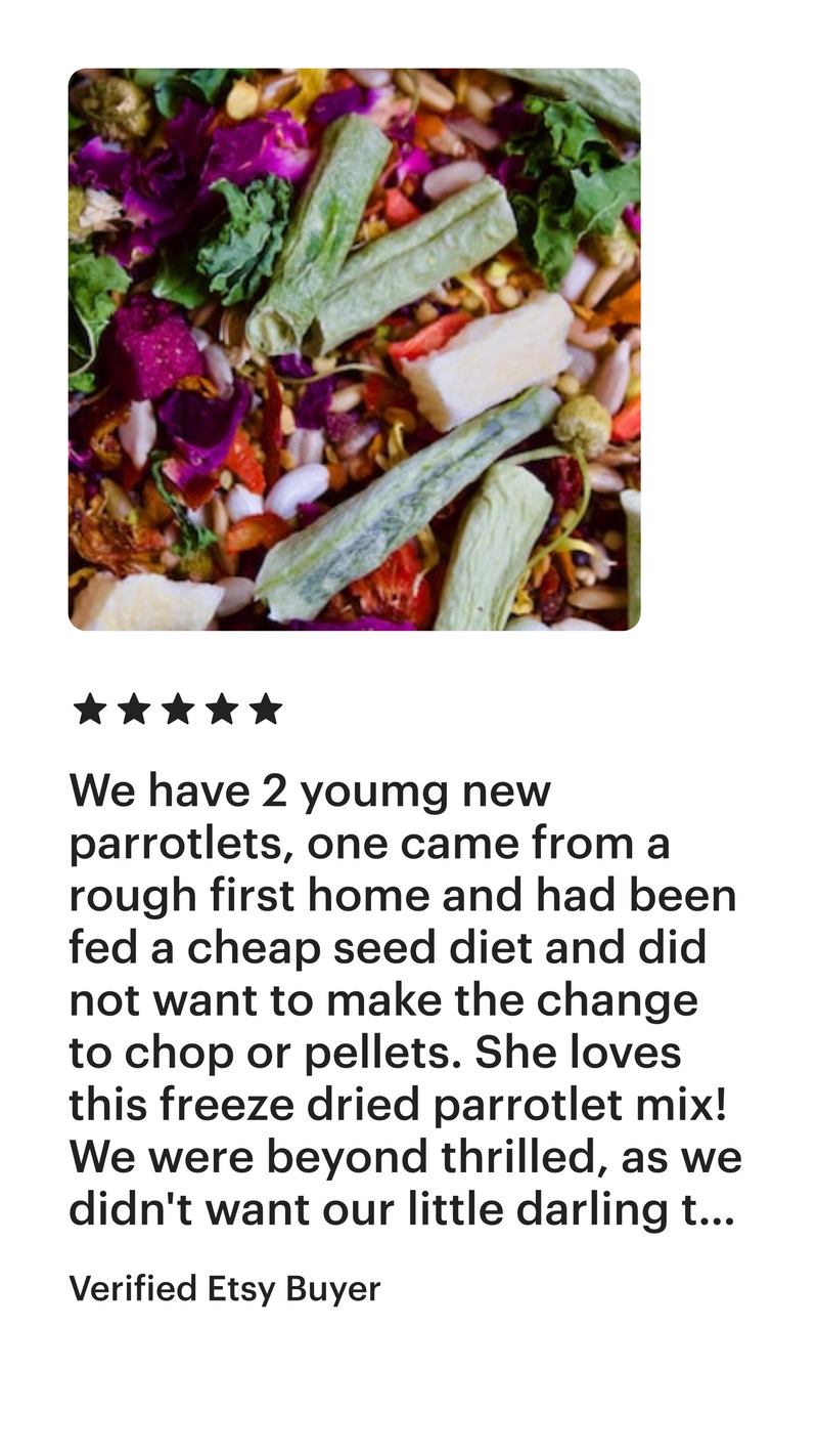 Organic Best Parrotlet Seed Mix (suitable for any small bird)